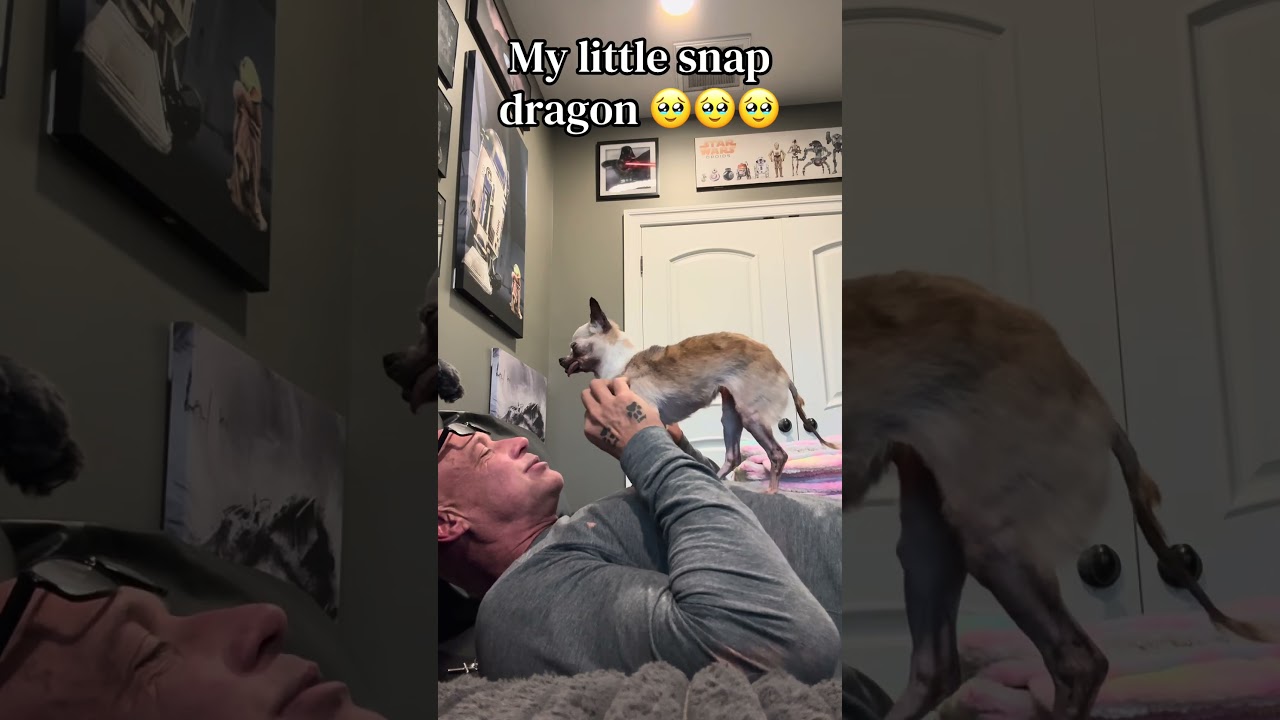 Рита 🥹🥹🥹