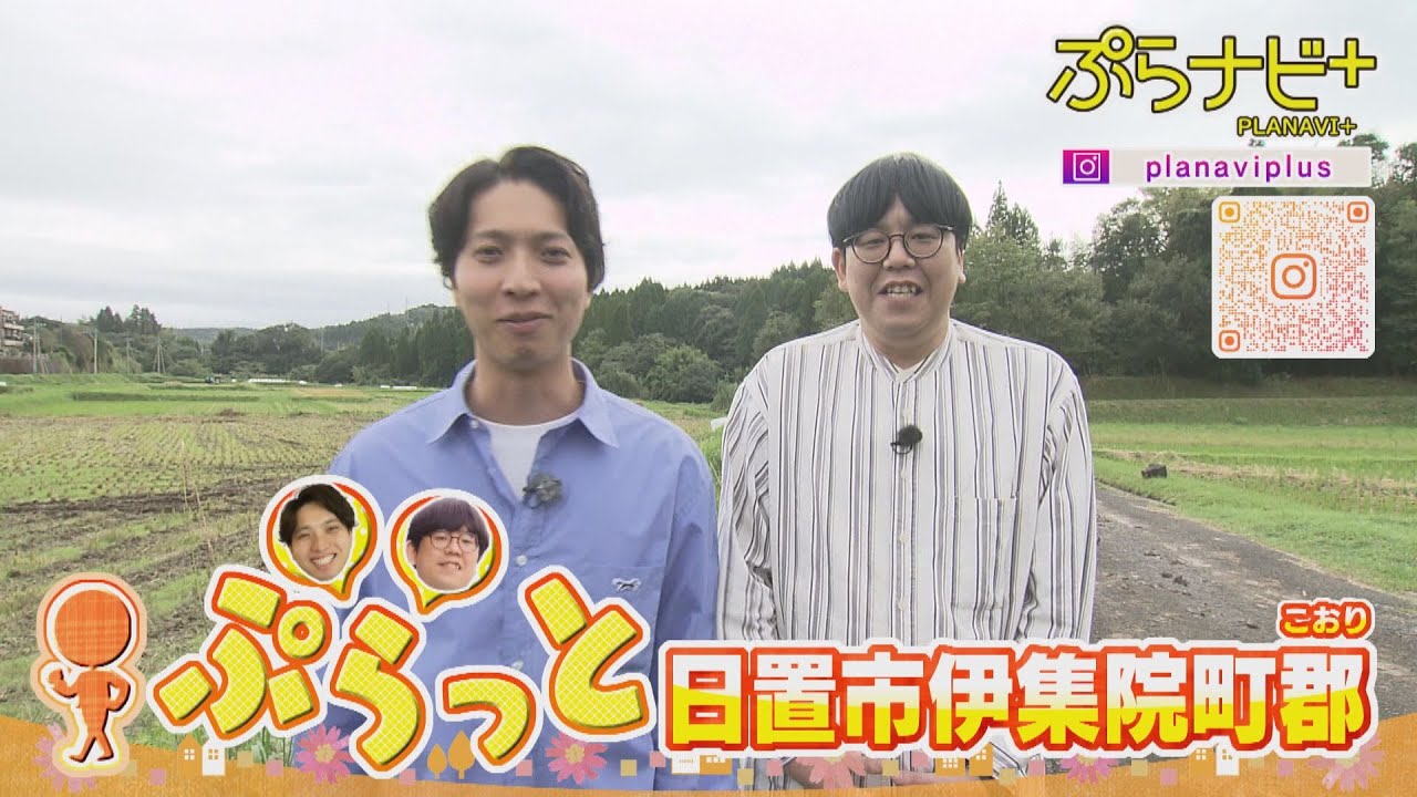 【日置市伊集院町郡をぷらっと】隠れ家のような”和風カフェ”や鶏のタタキを”意外なタレ”で食べる老舗鶏専門店に絶品”干しいも”の自販機も紹介！ [ぷらナビ＋特集]