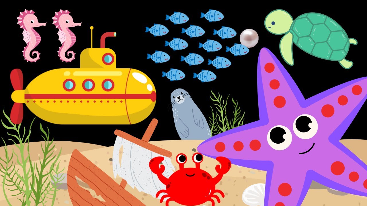 Magical Sea Adventure baby sensory video high contrast calm music