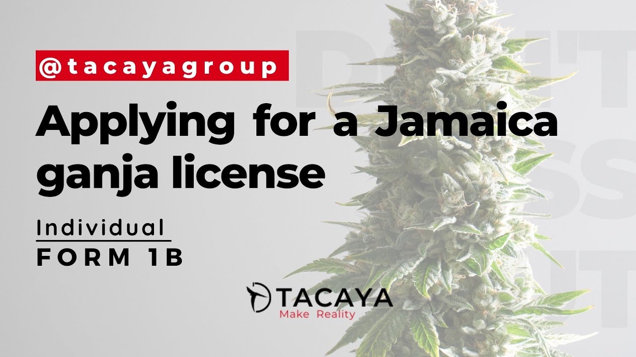 Part 2-Individual:  How to Applying for a Jamaica License from the CLA