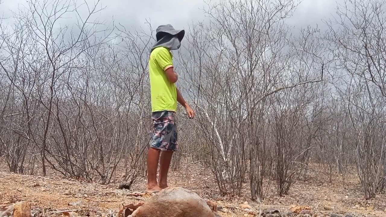 girin carrega o copo de baito veja Maís