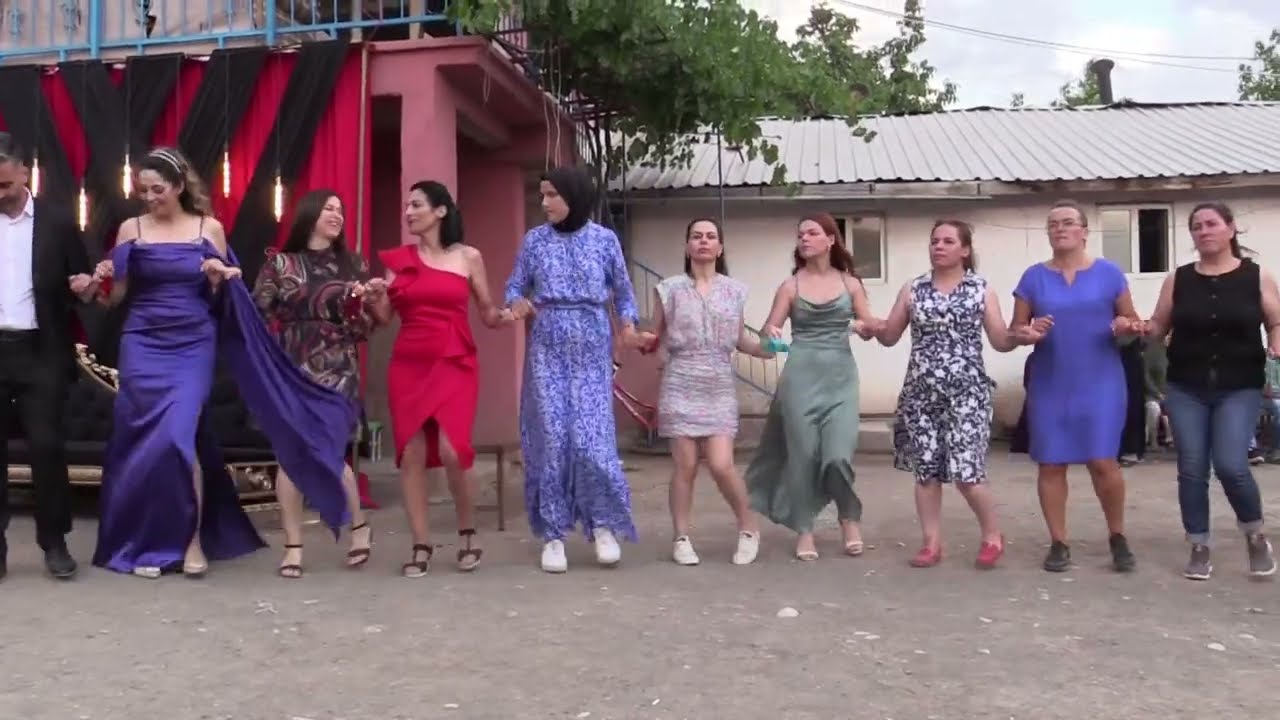 DÜĞÜNDEN CANLI #54646132879845
