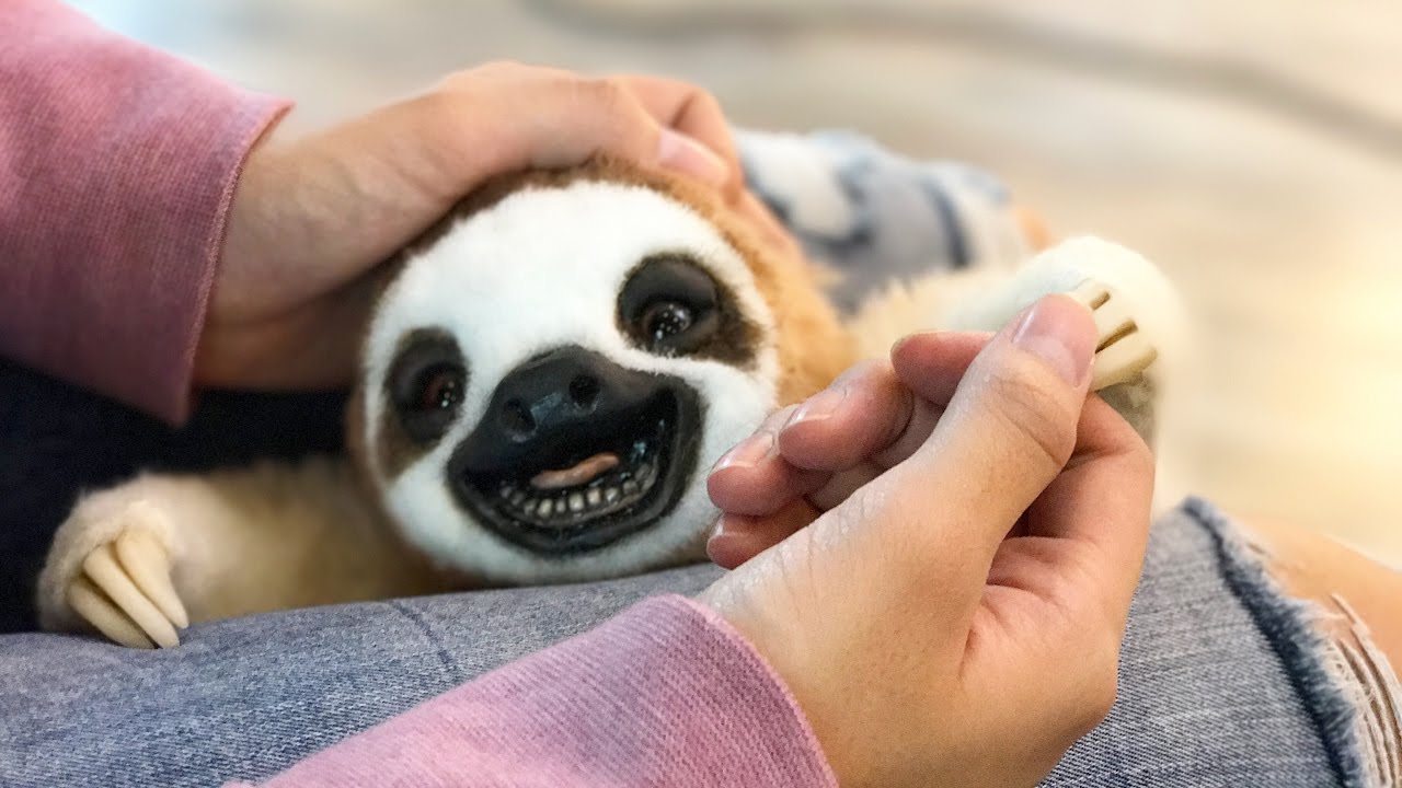 Box Opening : Super Realistic Sloth Baby !!