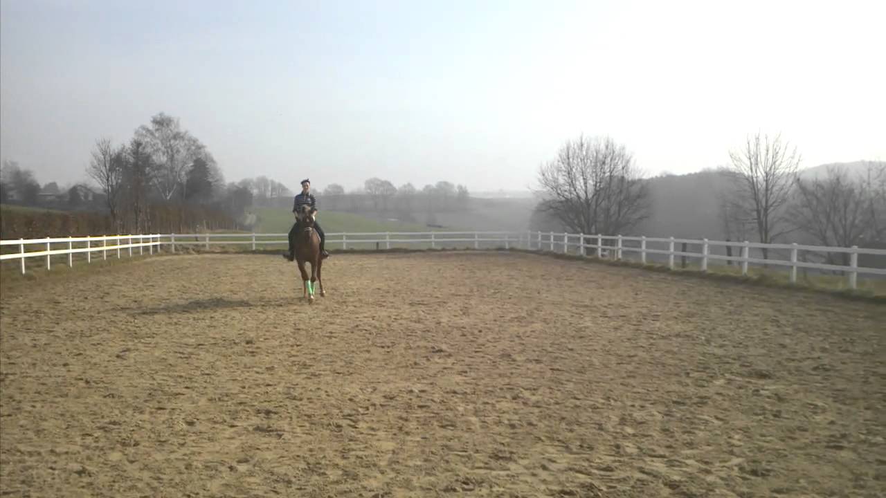 Floyd März 12 Traversale Galopp links.3gp