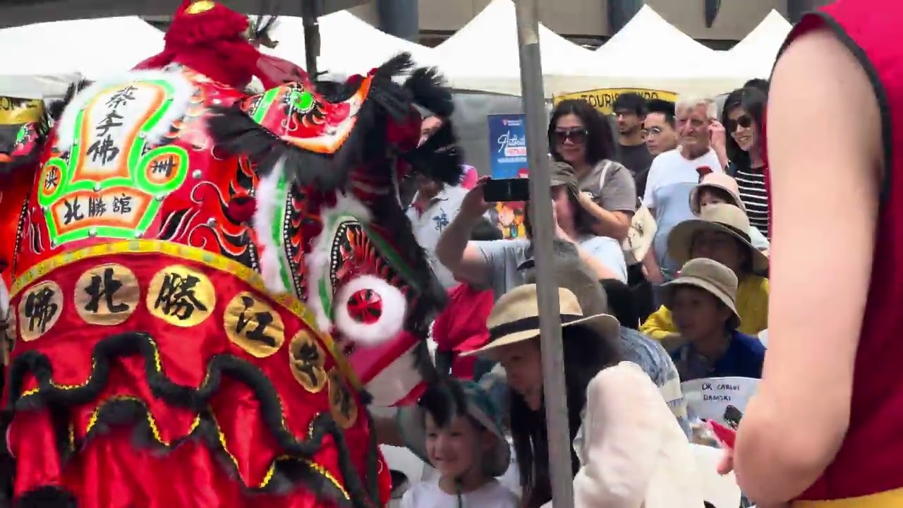 Lion dance in Perth city 