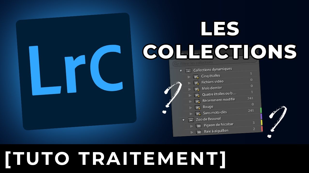 ORGANISEZ vos photos grâce aux COLLECTIONS dans LIGHTROOM CLASSIC !