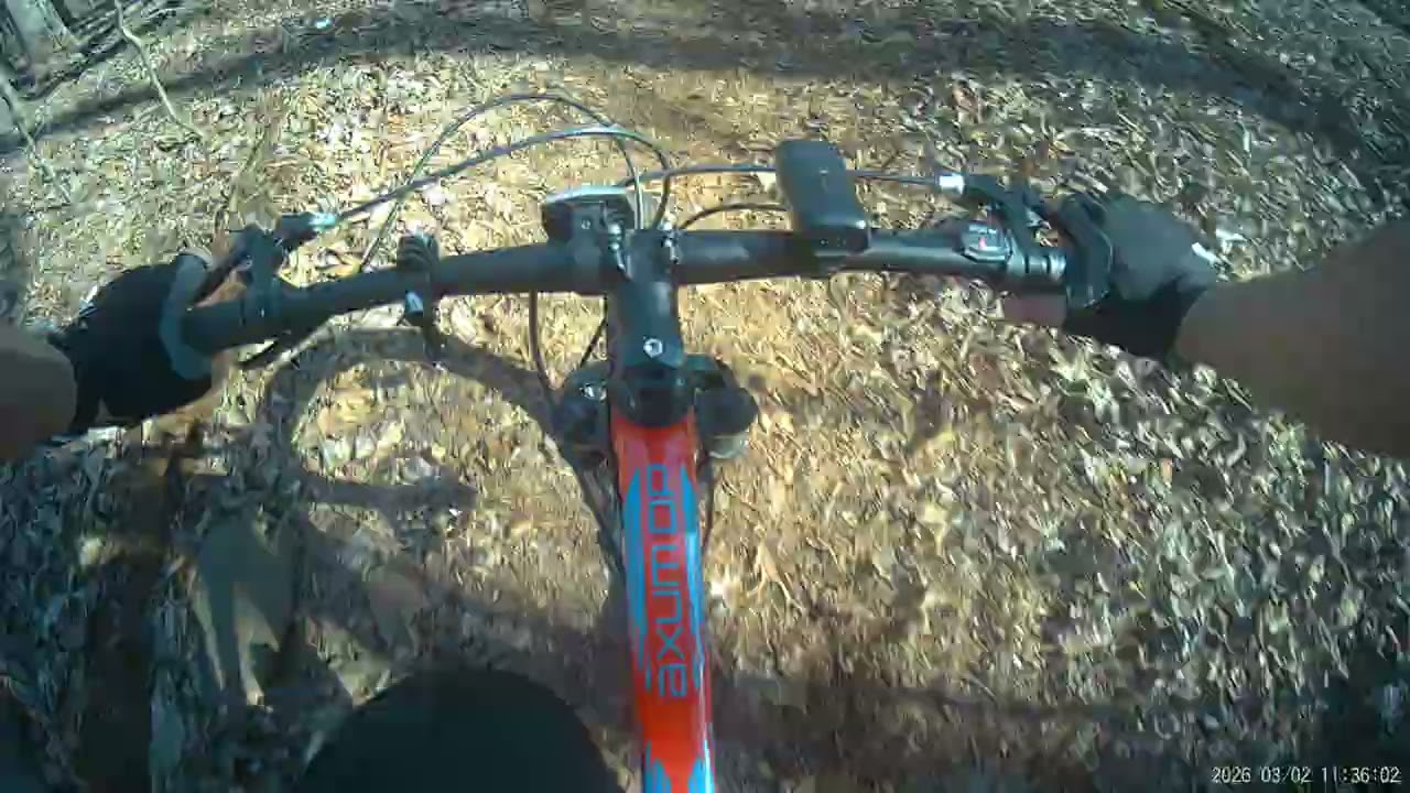 Ruta  Por El bosque