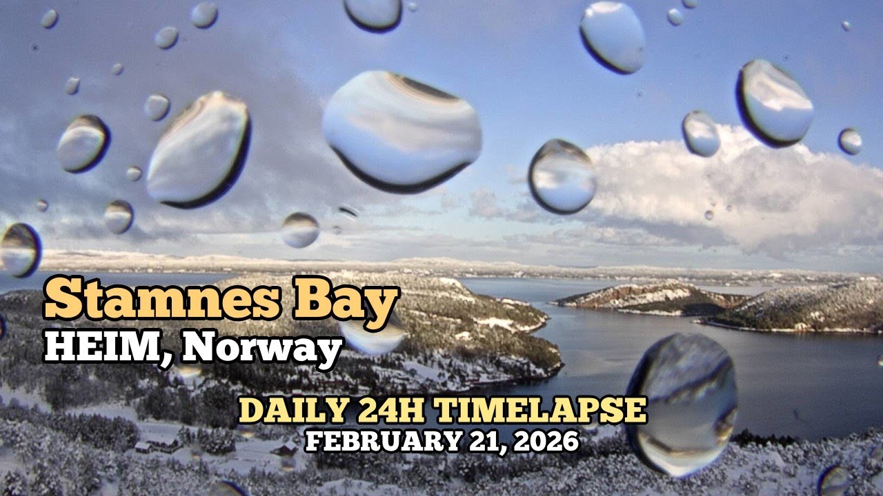 Stamnes Bay - Daily Timelapse: February 21, 2026 [Trøndelag, Norway]