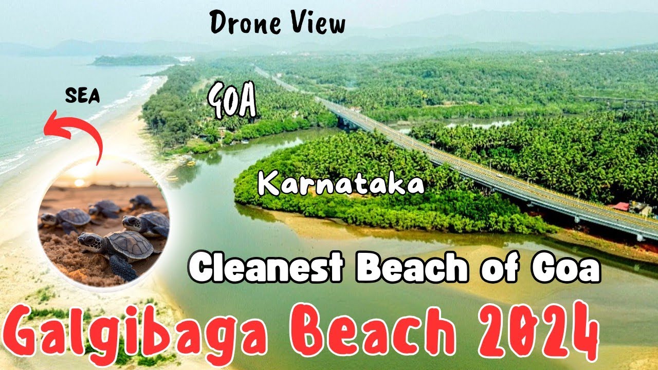 Galgibaga Beach Goa | Cleanest Beach in Goa | Turtle Nesting Beach | South Goa | Best Beach in Goa