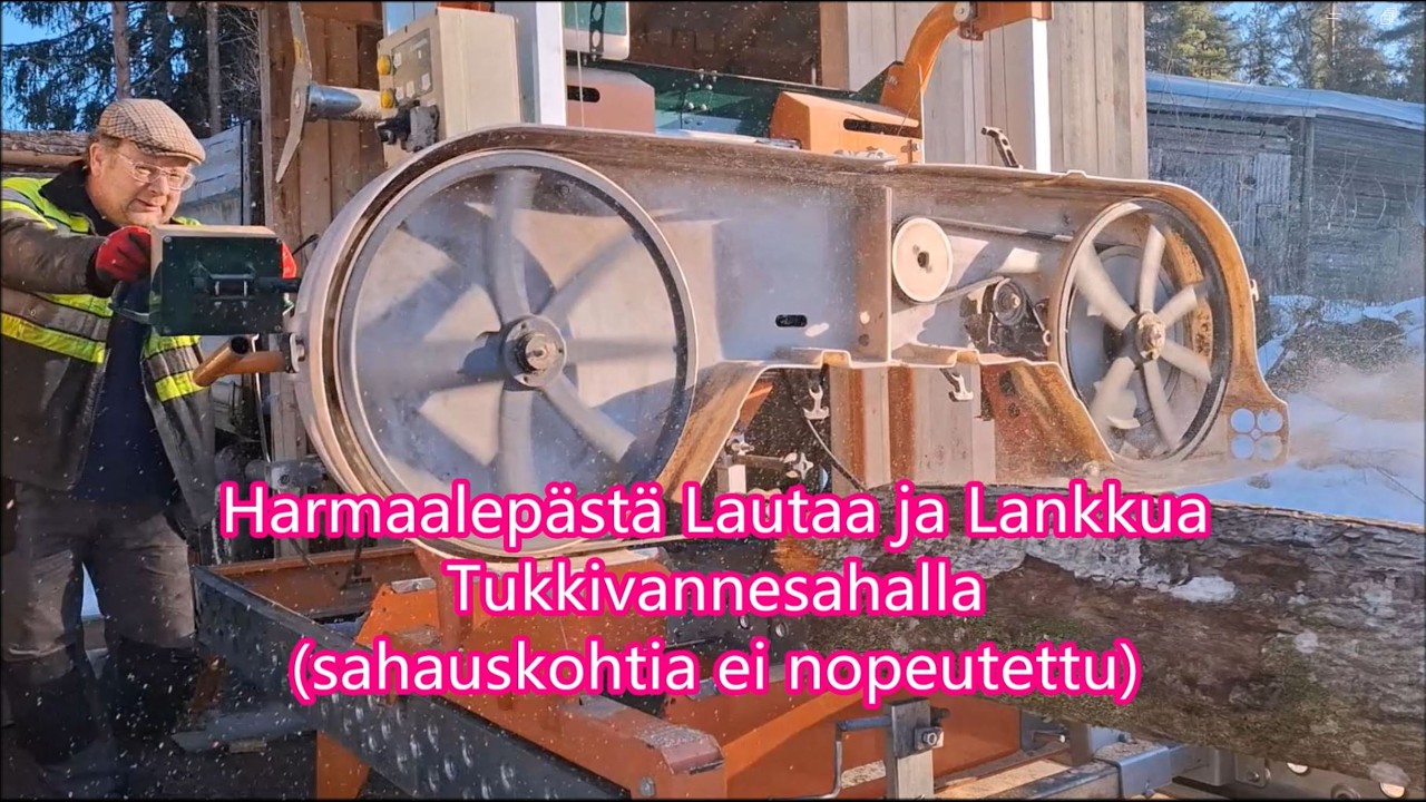 Harmaalepästä Lautaa ja Lankkua Tukkivannesahalla (sahauskohtia ei nopeutettu)