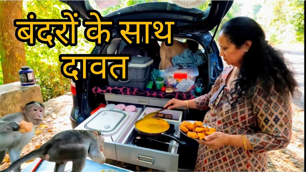 Cooked  Lunch in Car Kitchen on Munnar Highway | आज बंदरों के साथ हुई दावत | Destination for Summer