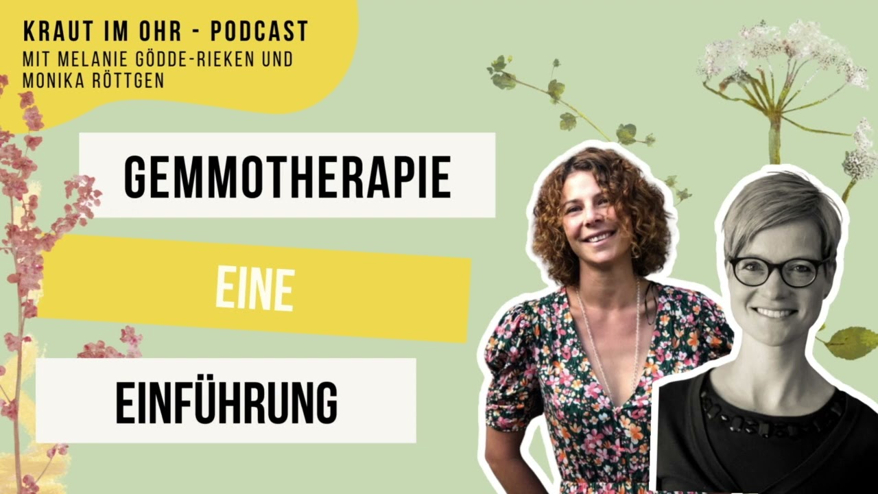 Gemmotherapie -  Wie die Knospen der Bäume heilen