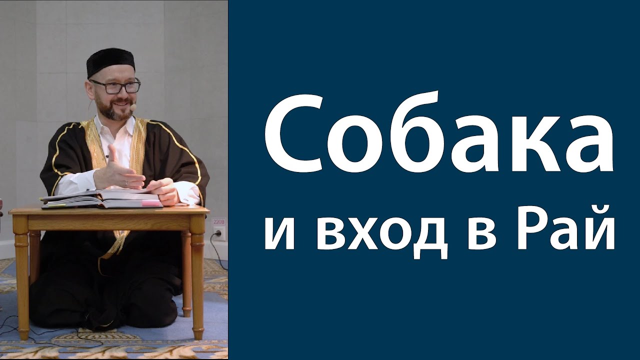 Обретение рая и собака