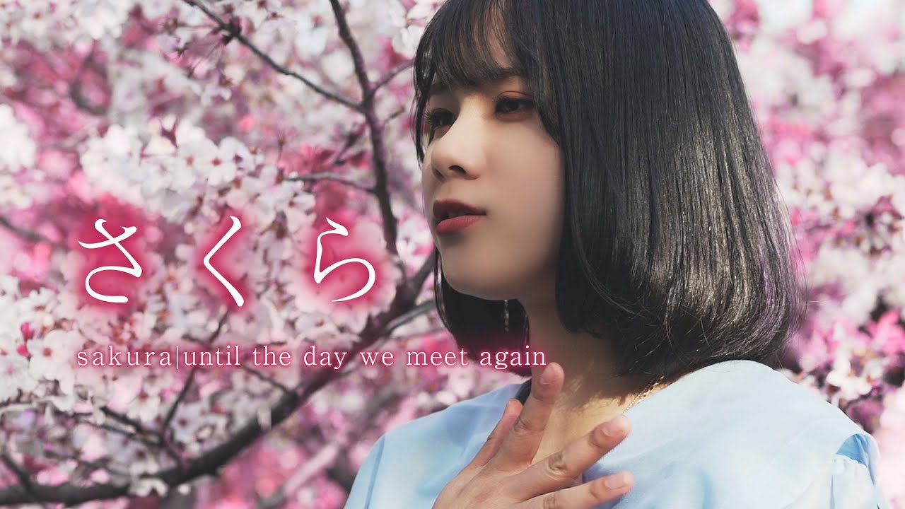 スマートオブジェクト. /『さくら』(Official Music Video)
