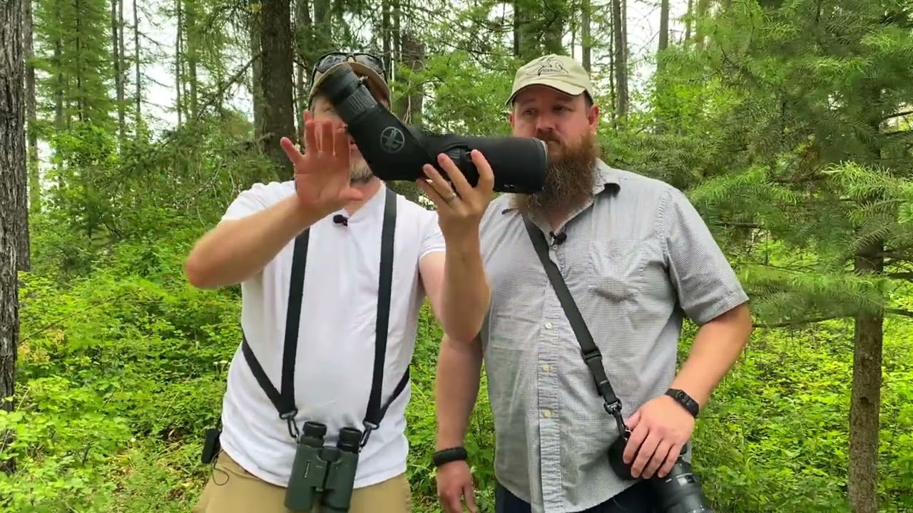 Birding Gear Essentials, Budget to Billionaire