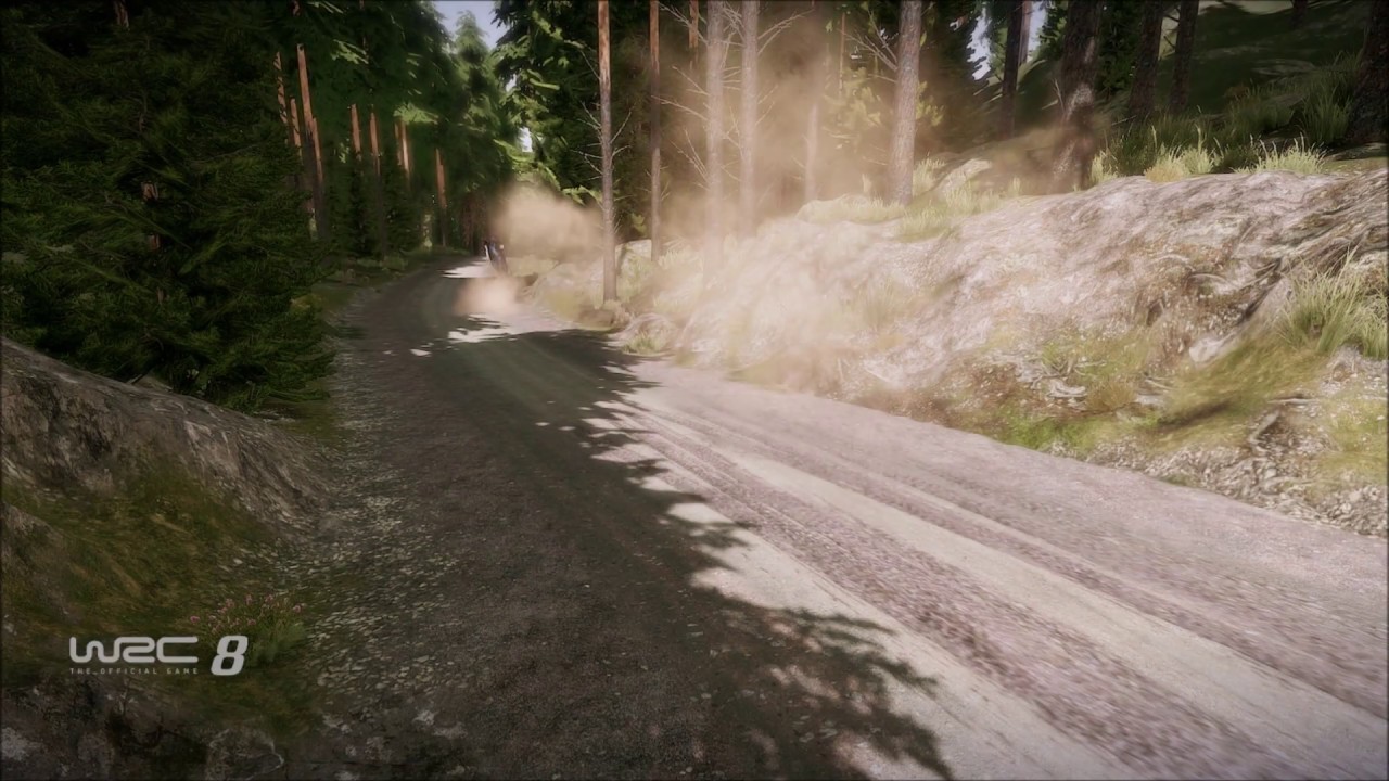 WRC 8 || Compilado de errores y accidentes|| Crash and fails