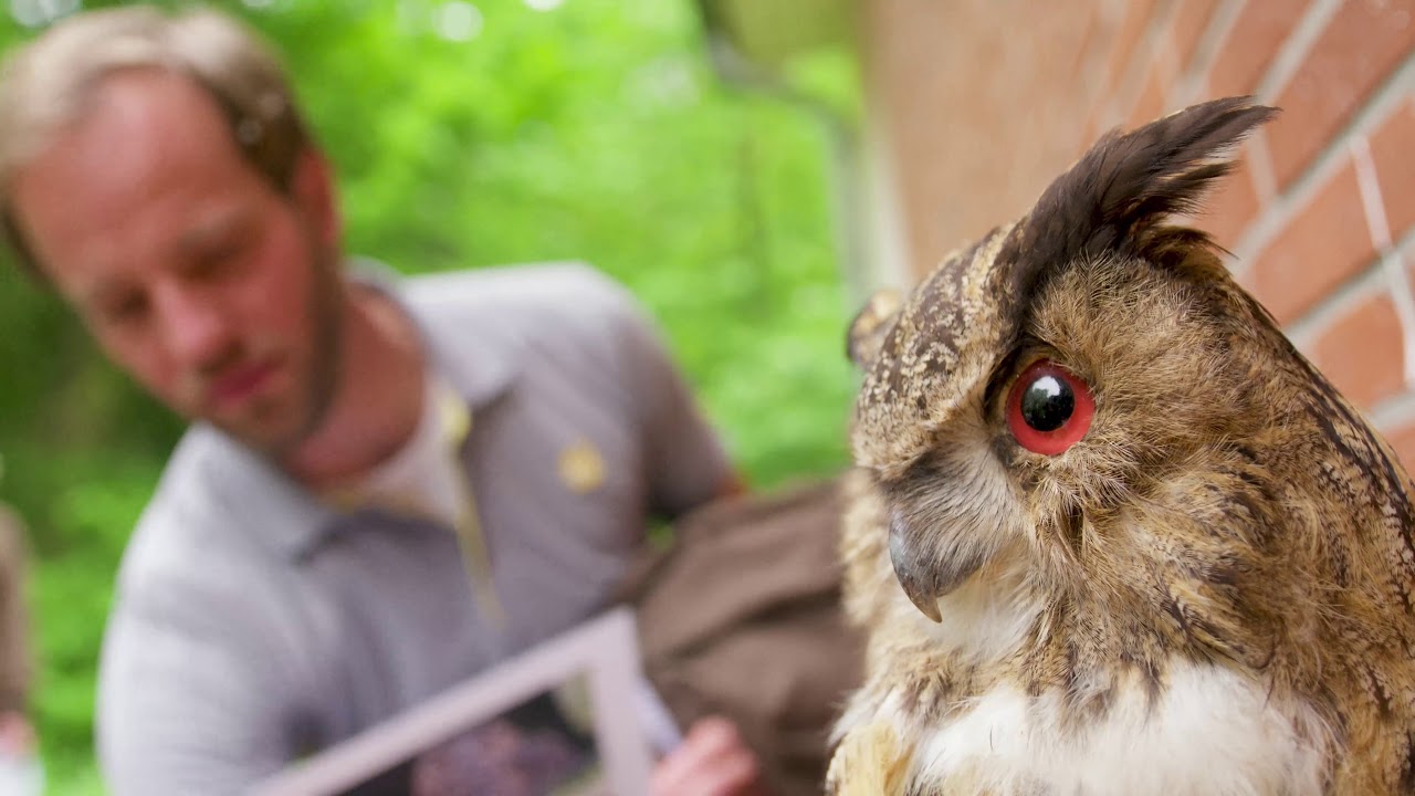 Waldpädagogik-Zertifikat (Clip 2)