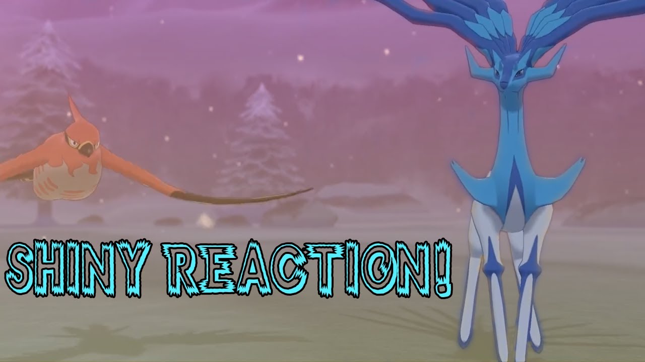 Shiny Xerneas Reaction (Dynamax Adventures in SwSh, Multi with Whytekong and Player Blank)