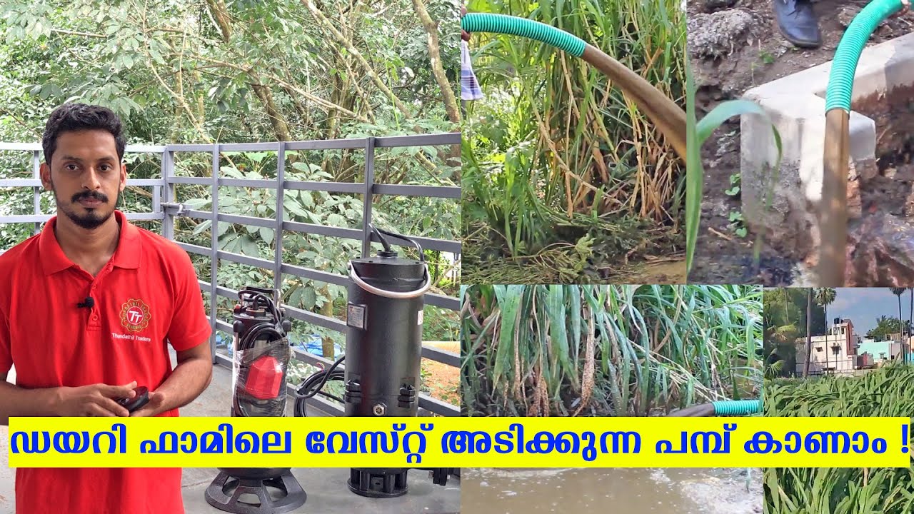 ഡയറി ഫാമിലെ വേസ്റ്റ് അടിക്കുന്ന പമ്പ് കാണാം - Sewage Pump | Diary Farm | Cow dung | Hotel Waste