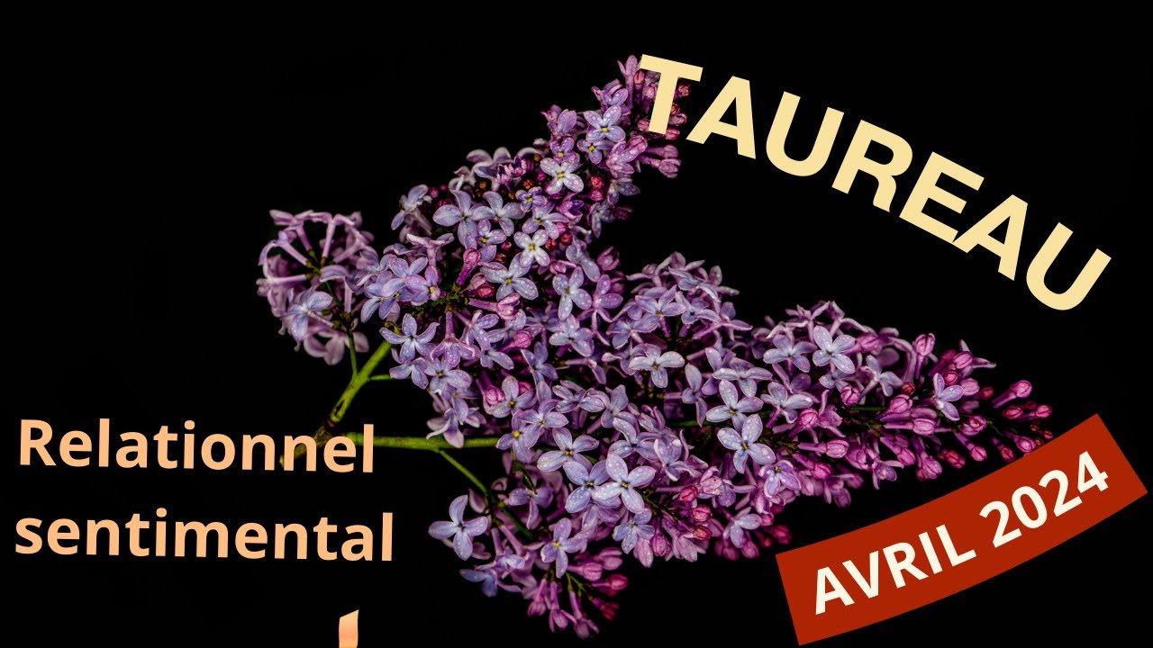 Taureau–Avril 24– sentimental /relationnel -communication revient- alchimie qu'on ne comprend pas...