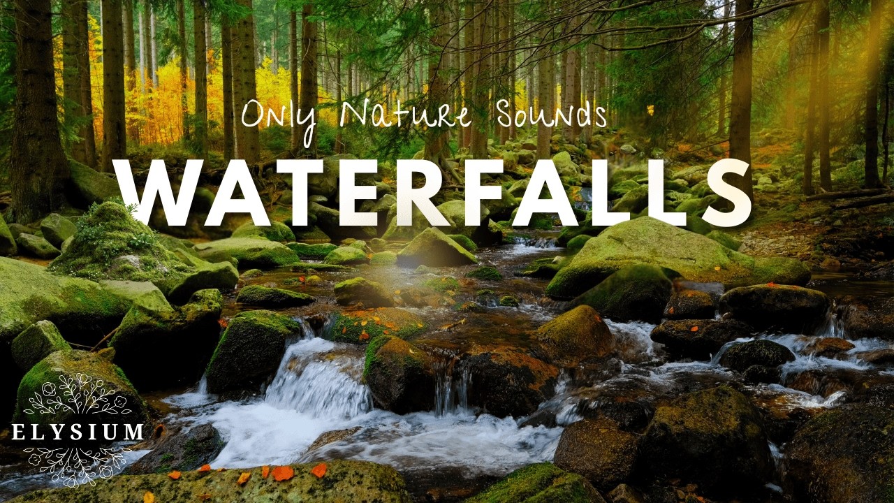 Tranquil Forest Waterfall Sounds for Stress Relief, Study, Sleep & Yoga | Real Nature ASMR