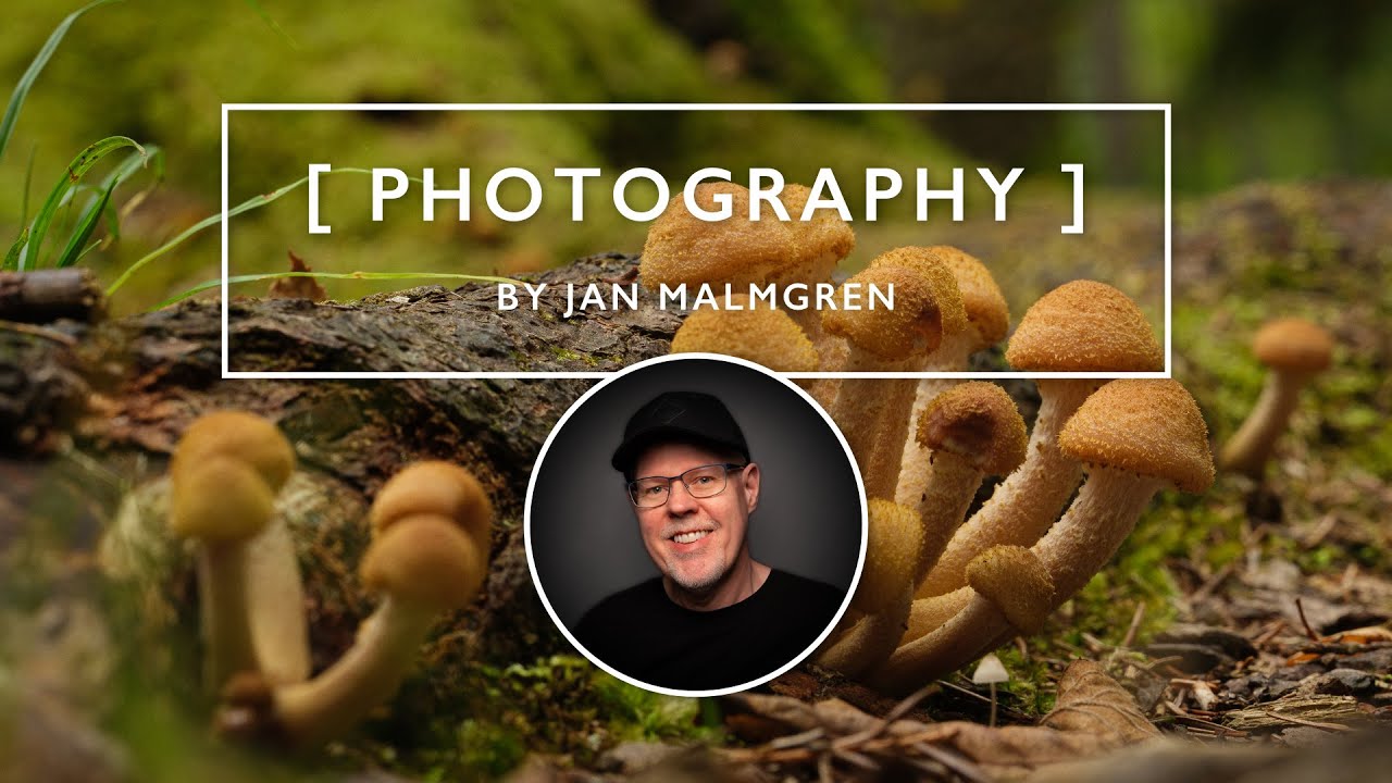 Finding peace through photography | GFX 100 II with GF 500mm telephoto