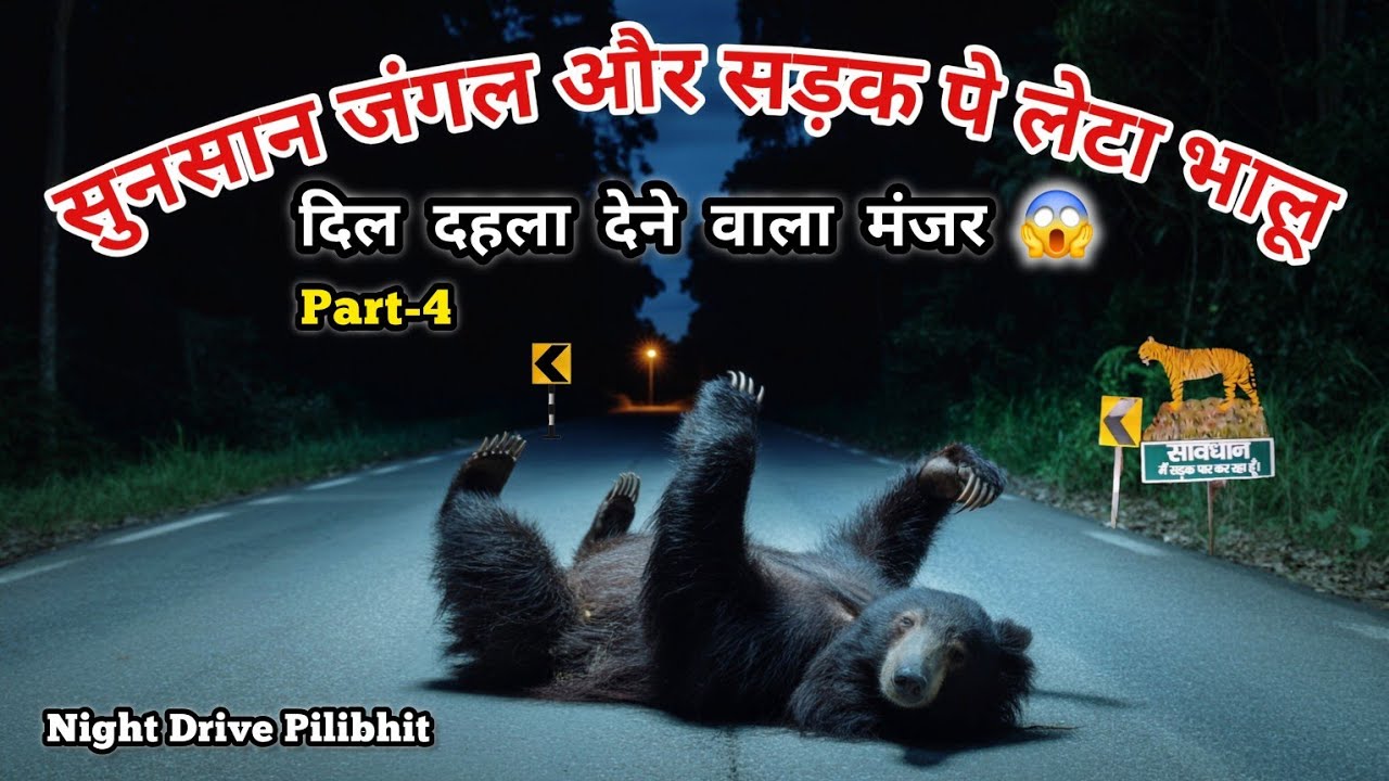 जंगल की सुनसान सड़क पर मिला भालू | Night Drive in Pilibhit | Nandhaur to Dudhwa Tiger Reserve Part-4