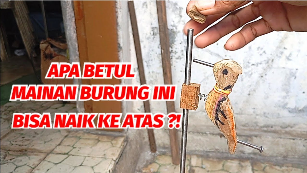 cara membuat mainan burung pelatuk yang pernah viral