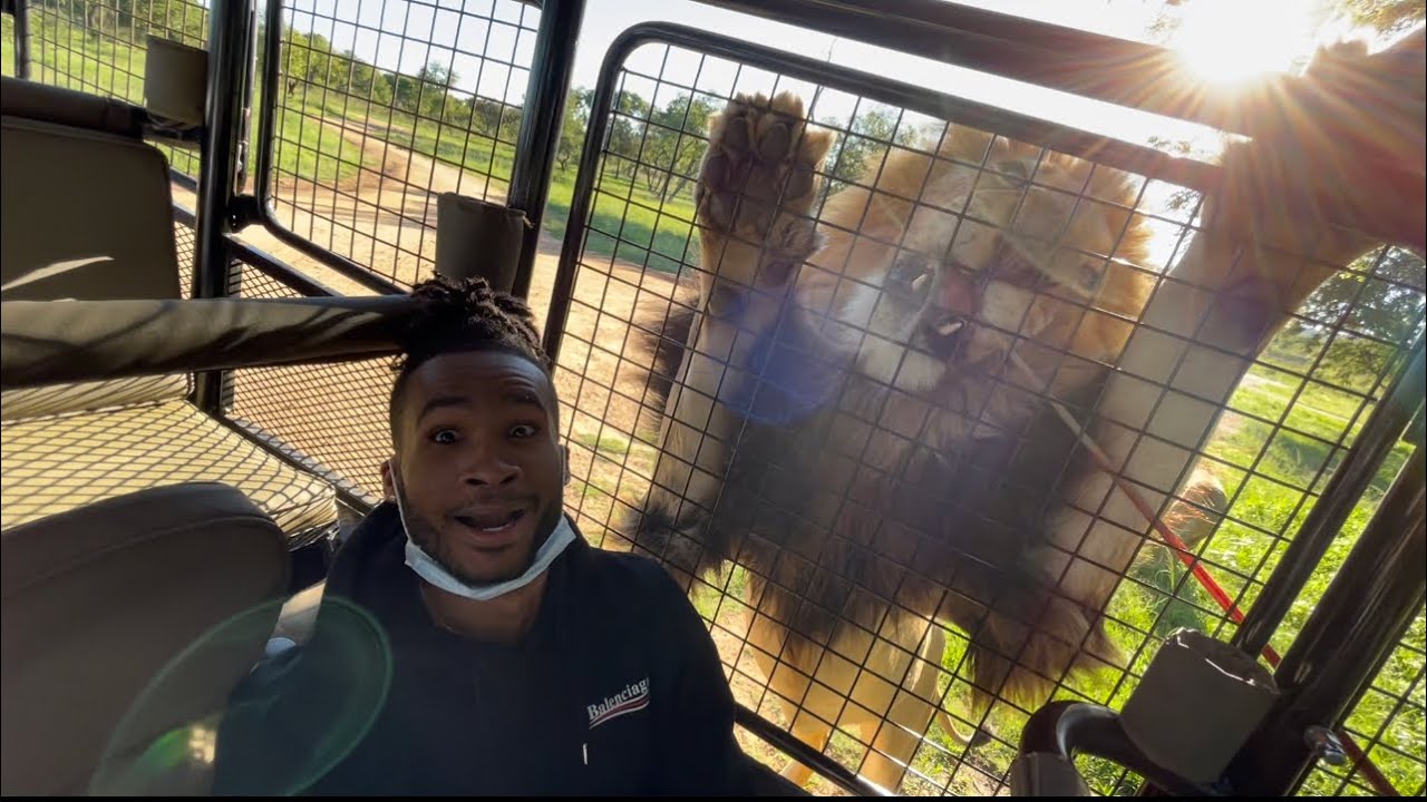 MY LAST DAY IN JOHANNESBURG (ALMOST GOT EATEN BY A LION) 😱
