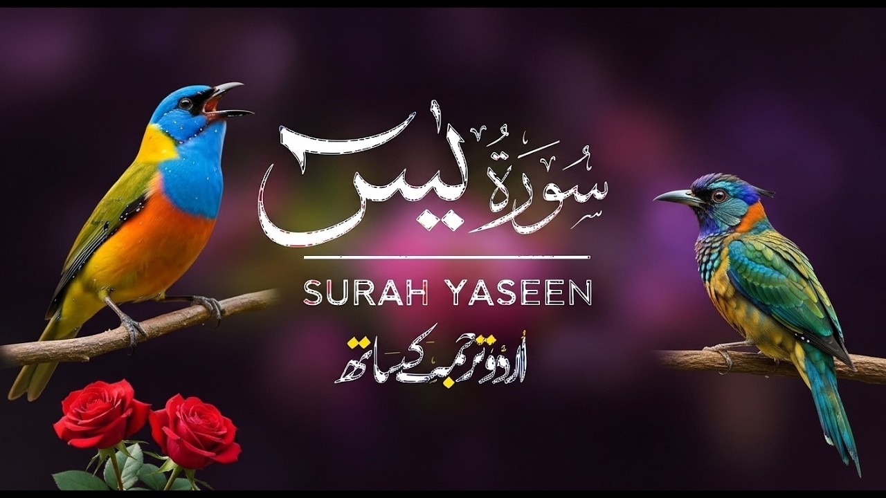 Surah Yaseen Full | Emotional & Heart Touching Tilawat