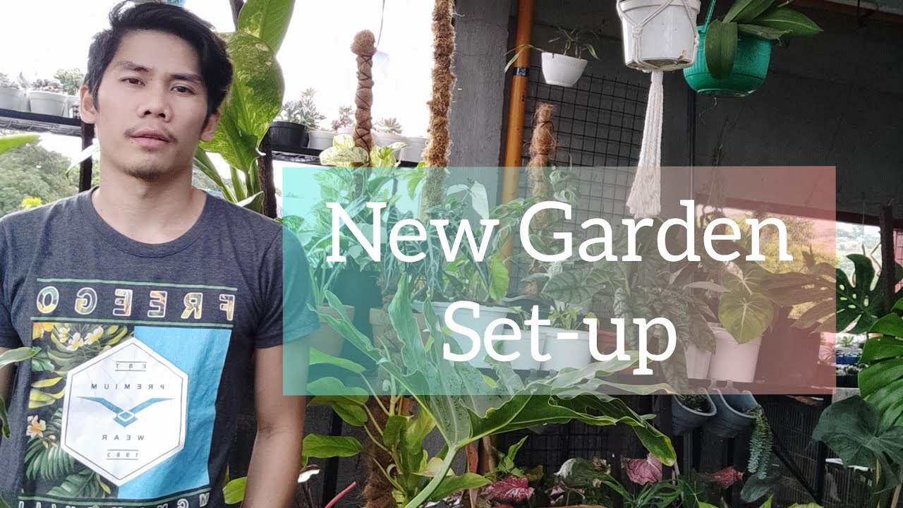 2022 Mini Garden Tour (plants update)