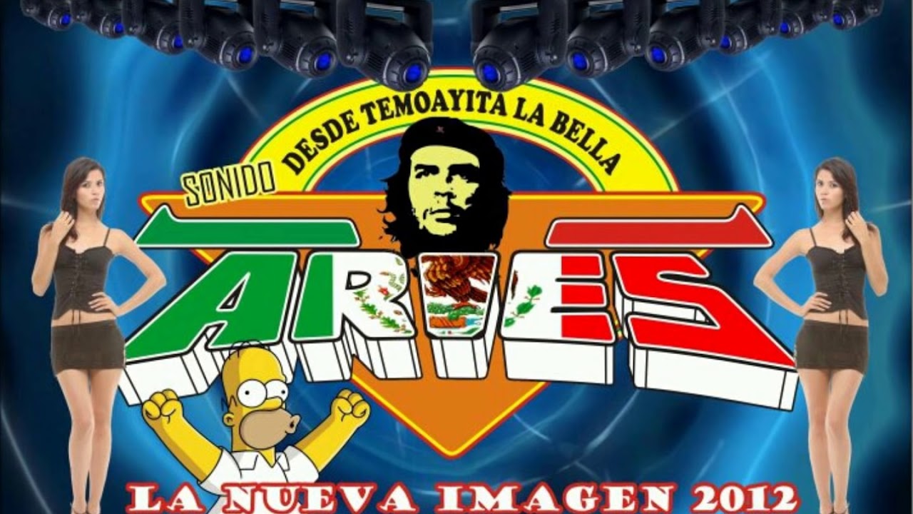 gaita numero 1 limpia