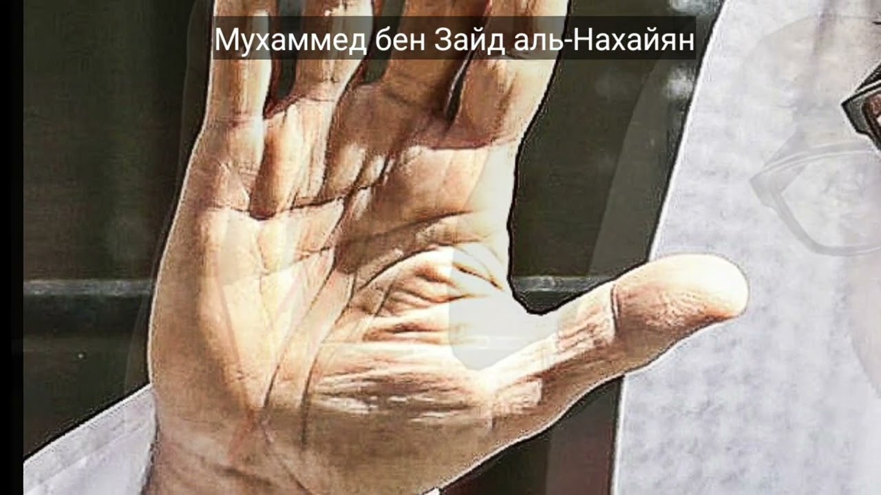 Ладонь миллиардера.Хирология# #хиромантия