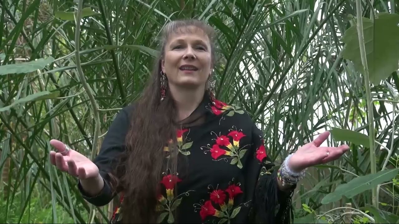 DAGMAR DÜMCHEN  Y EDUARDO YAÑEZ LOAYZA :  POTPOURRI BOLIVIANO - VIAJE POR MI PAIS