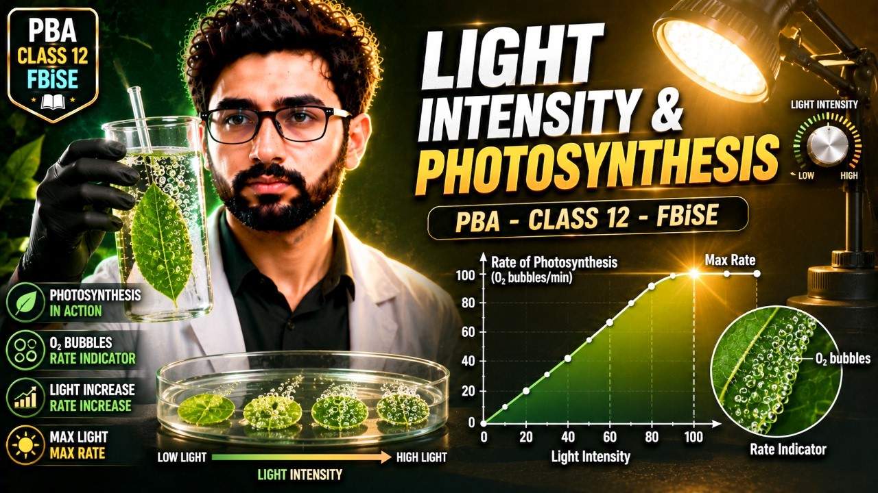 Practical Base Assessment | Class 12 Biology PBA | Effect of Light Intensity on Photosynthesis Rate