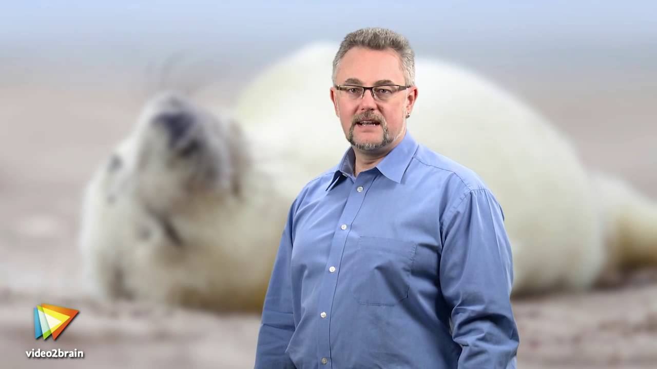 MariaDB – Grundlagen Tutorial: Trailer |video2brain.com