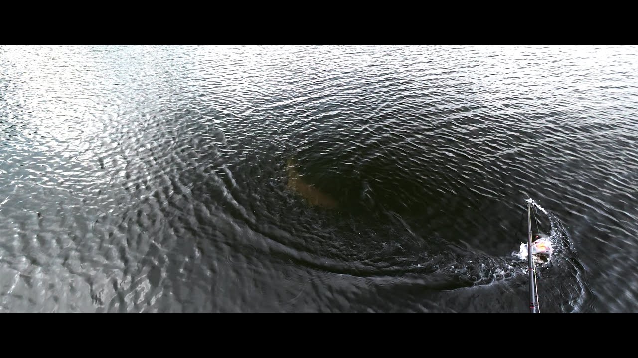 Becoming a Musky Angler: Lake Vermilion Opener Heartbreak