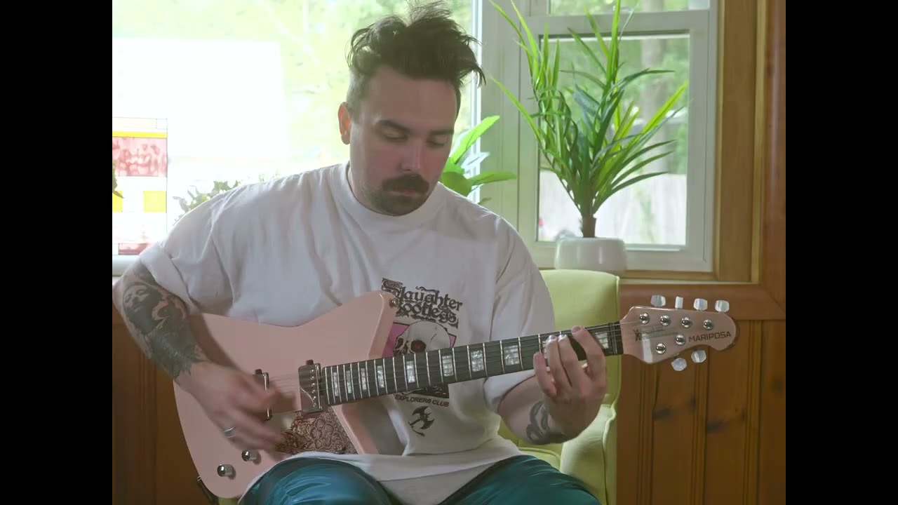 Cryptodira - Hyperwealth (Guitar Playthrough)