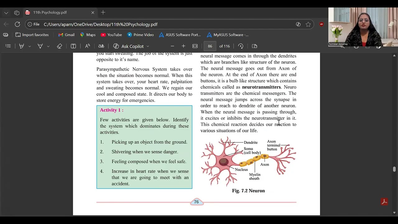 Psychology 11th std Nervous System