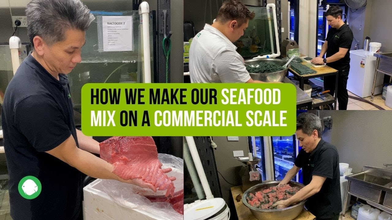 How we make our seafood mix on a commercial scale - OZ Discus