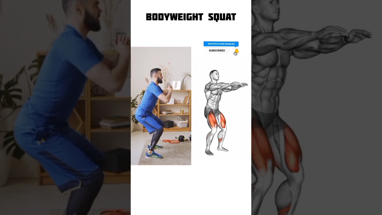 Bodyweight Squats: How To Do And Muscles Worked #legdayworkout #gymbros #lowerbodyexercises