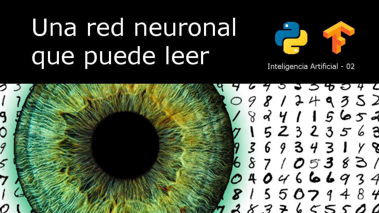 Crea tu propia red neuronal que puede leer