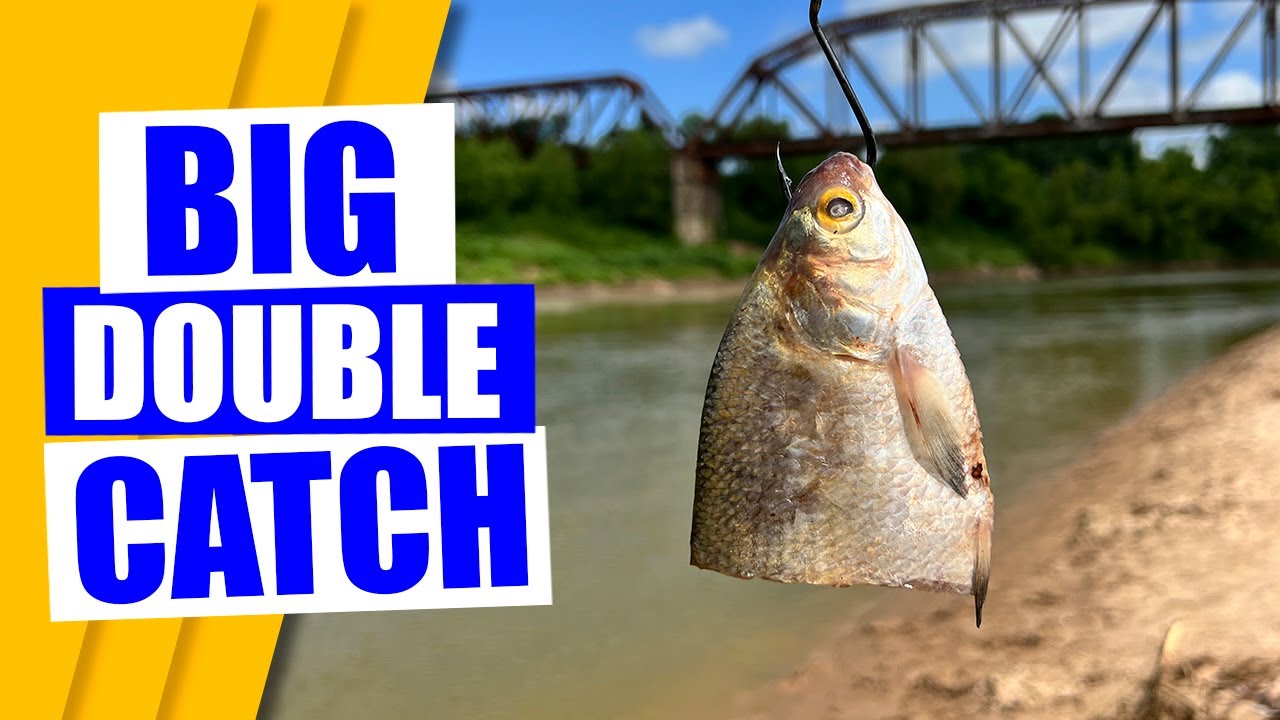 Throwing BIG BAIT in a BIG RIVER will catch BIG ALLIGATOR GAR
