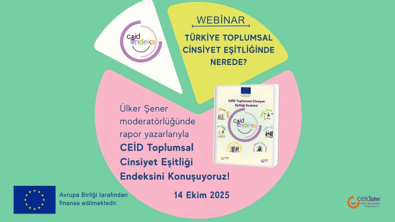 Türkiye Toplumsal Cinsiyet Eşitliğinde Nerede?-CEİD Toplumsal Cinsiyet Eşitliği Endeksi Raporu