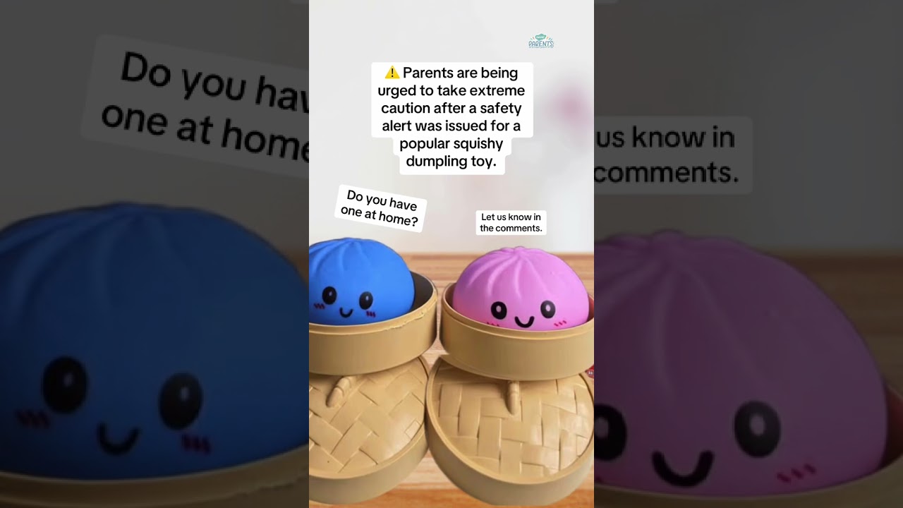 Parent Warning: Viral Squishy Dumpling Toys Could Be Dangerous ⚠️