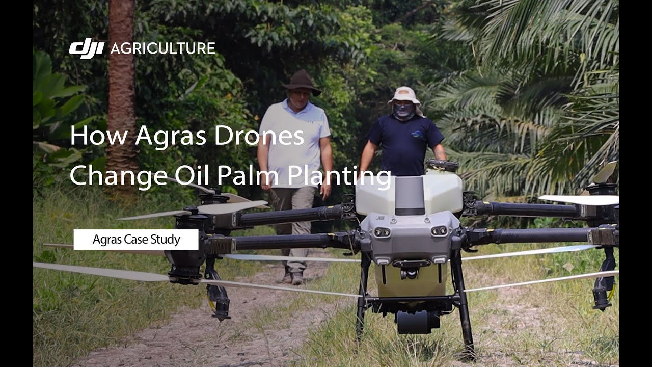 How Agras Drones Change Oil Palm Planting