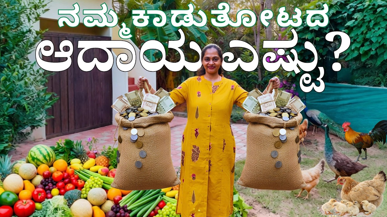 🤔 ಇದು ಹೇಗೆ ಸಾಧ್ಯ? ಡ್ರೈ ಲ್ಯಾಂಡ್ ಅನ್ನು ಕಾಡು ತೋಟ ಮಾಡಿ ಇಷ್ಟೆಲ್ಲಾ ದುಡಿತಾ ಇದಿವಿ । Farmhouse Income | Vlog