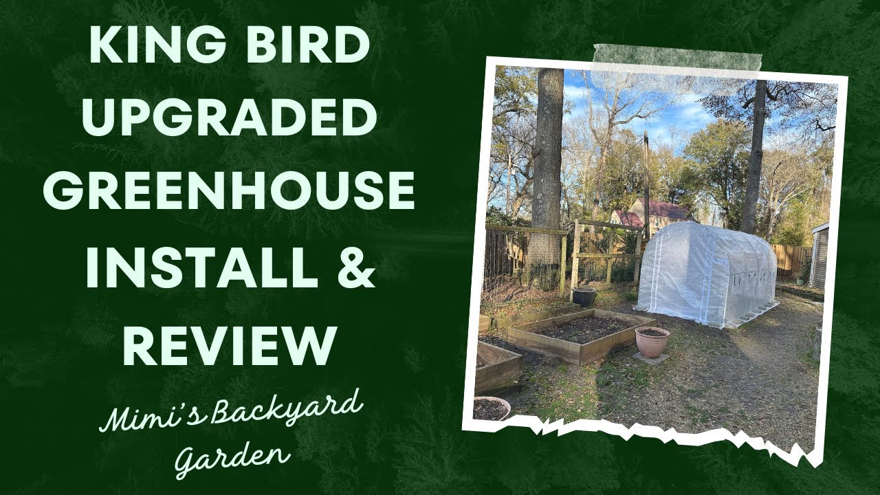 King Bird Upgraded Greenhouse Install and Review