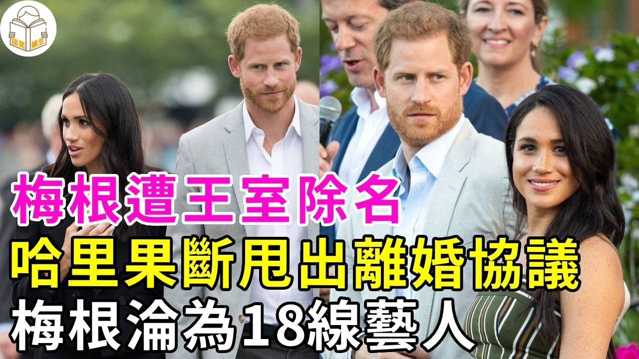 驚！梅根哈裡已撕破臉，哈裡甩出離婚協議！14億財産對半分，梅根搶孩子，公開打臉哈里，哈裡獨自參觀戴安娜故居#夏洛特公主#卡米拉#戴安娜王妃#凱特王妃#莉莉貝特#英國王室#談笑娛生#哈裡王子#梅根