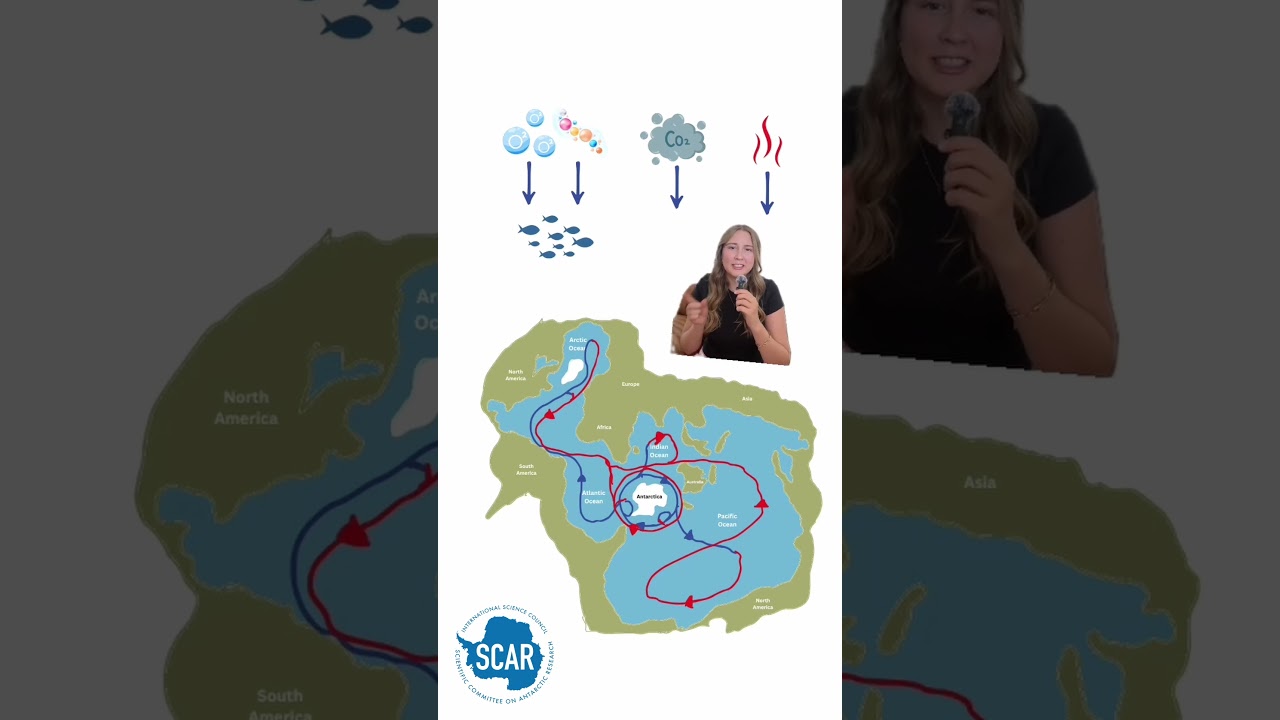 Antarctic Bottom Water: How it Contributes to the Global Ocean Circulation (Reel)